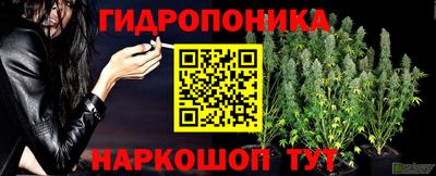 дживик Когалым
