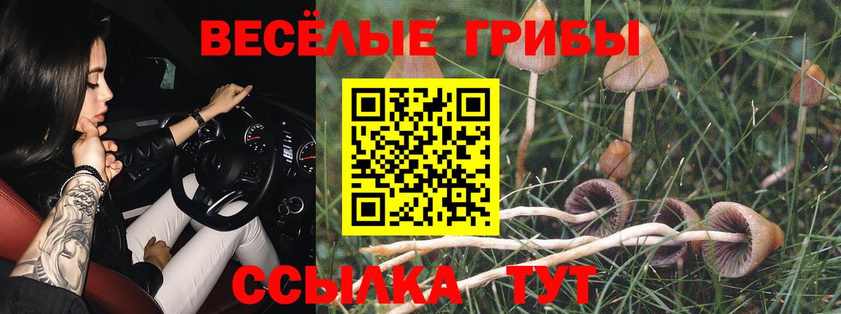Галлюциногенные грибы Cubensis  Вход с VPN  Псилоцибиновые грибы мицелий  где купить наркотик  Боровичи 