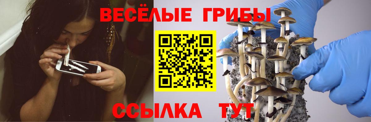 Галлюциногенные грибы ЛСД Боровичи